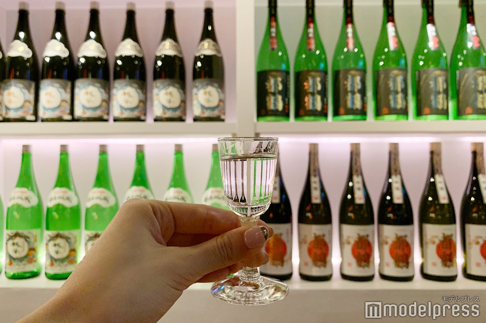 ディスプレイも画になる空間（C）モデルプレス