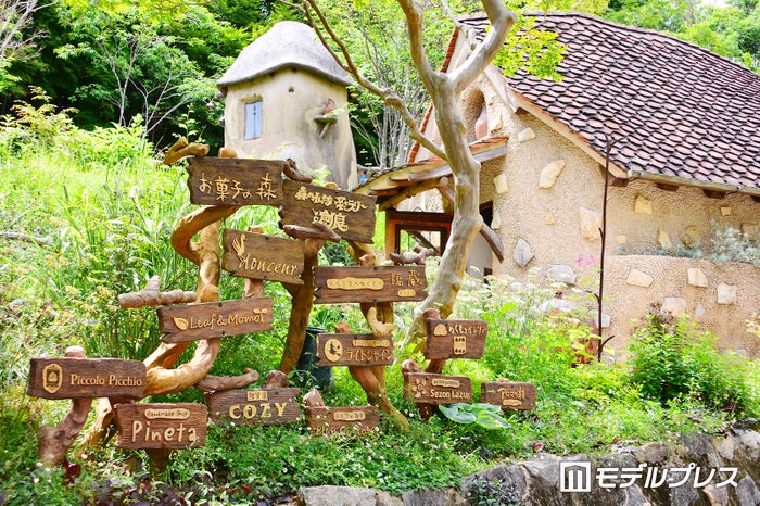 デカ盛りパフェに神秘的な水上鳥居 Cmで話題の静岡 浜名湖エリアへ日帰り女子旅 女子旅プレス