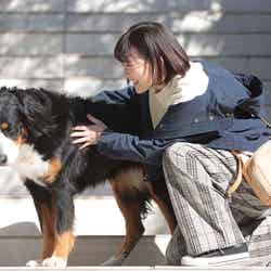 伊藤沙莉「シッコウ！！～犬と私と執行官～」第2話より（C）テレビ朝日