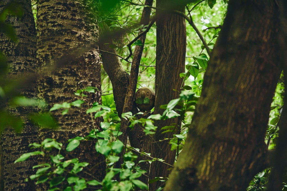 ポケモンワンダー／画像提供：ポケモン