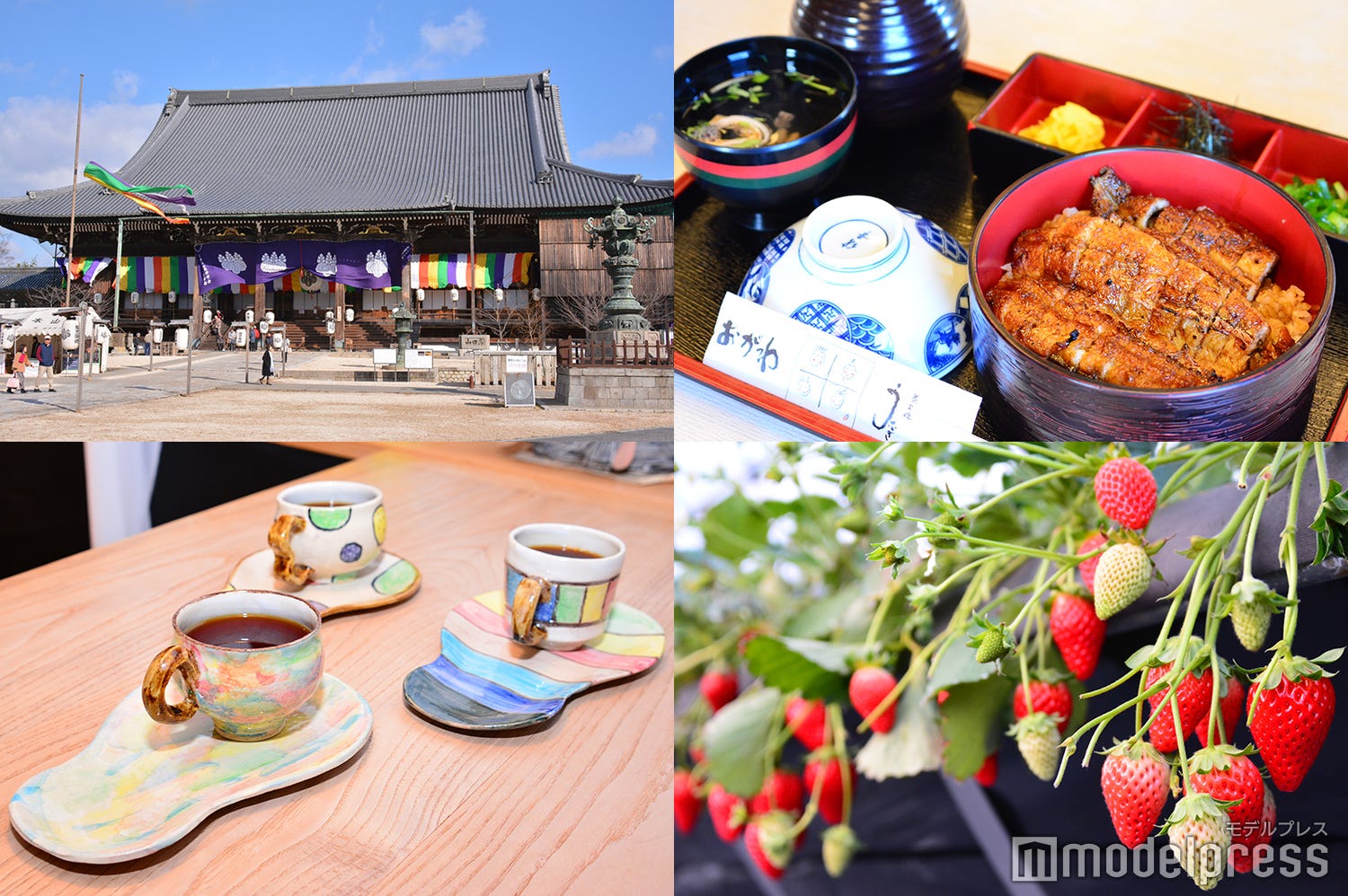 三重県津市へ日帰り女子旅!魅力を秘めた県庁所在地を1日で満喫