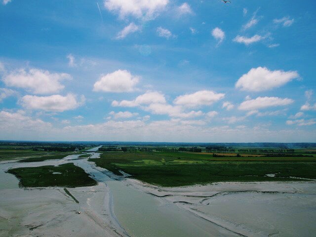 画像提供：所属事務所