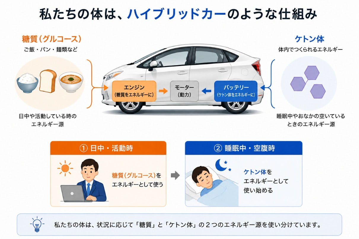 ハイブリッドカーのような体の仕組み