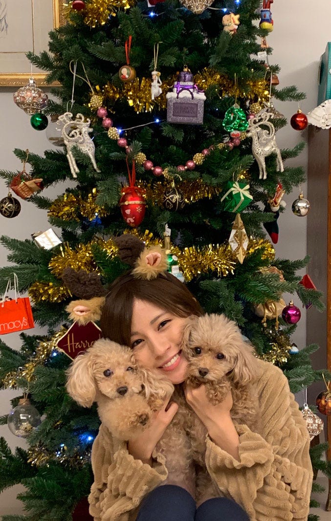 愛犬たちが私の癒しです。/堤礼実アナウンサー(提供写真)