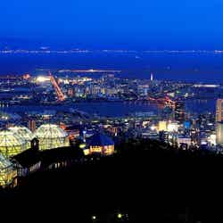 森の中から眺める街の夜景/画像提供:神戸布引ハーブ園