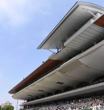 【函館スプリントS】6番人気ピューロマジックが復活の重賞4勝目 北村友「馬のリズムで走れた。スプリンターとしての素質がある」