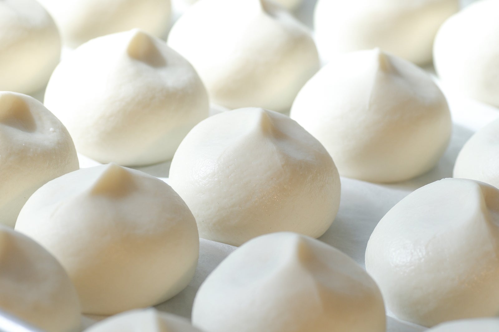 メニューイメージ／画像提供：全日本ぎょうざ祭り事務局