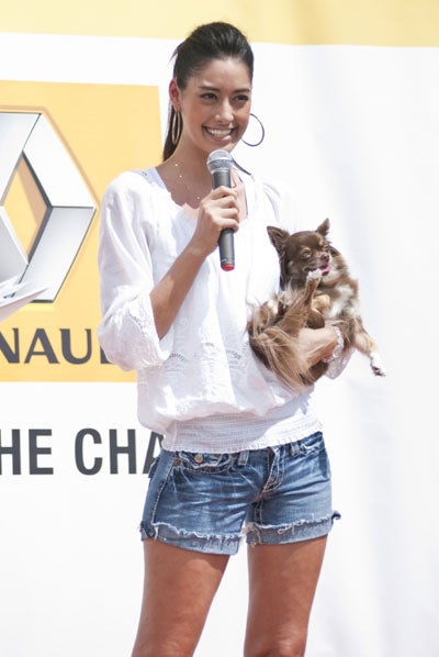 森泉、新型「ルノー」をプロデュース　愛犬6匹と登場　