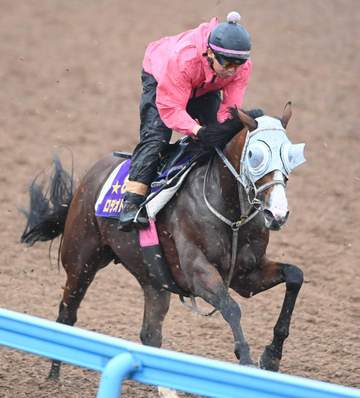 【新潟記念】勢いNo.1は3歳G1馬ロデオドライブ データは唯一の全項目クリア 強豪古馬勢撃破で飛躍の秋へ