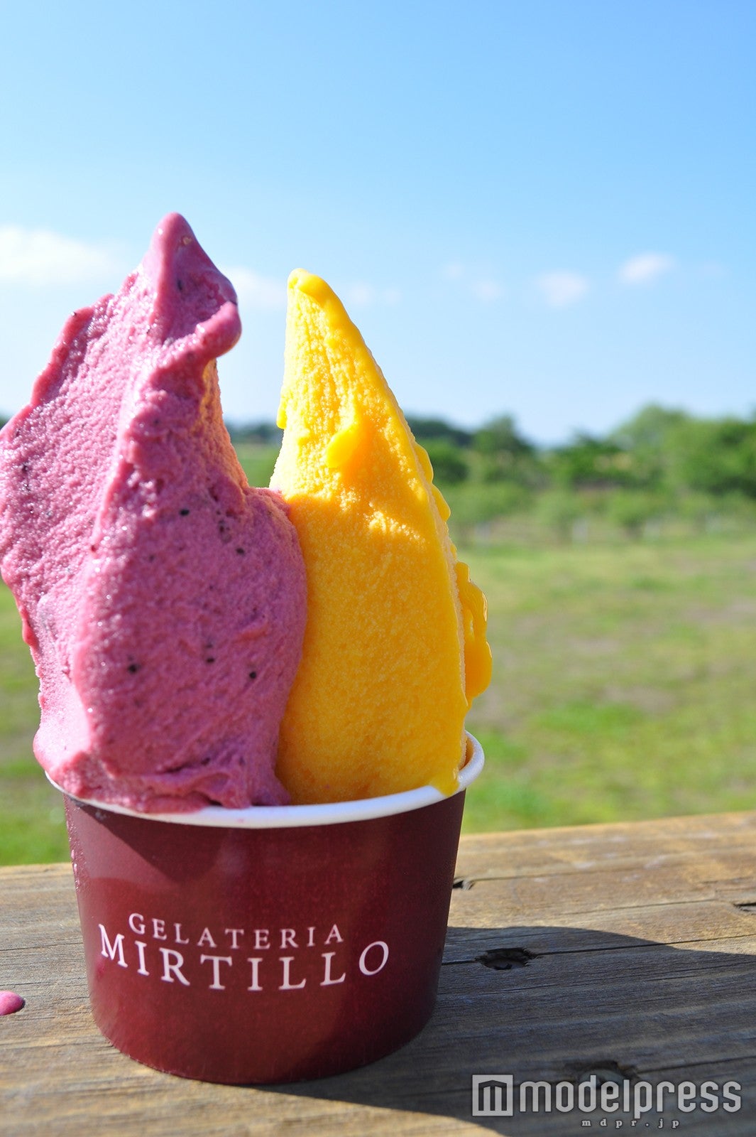 ジェラテリアミルティーロ／画像提供：パルコ
