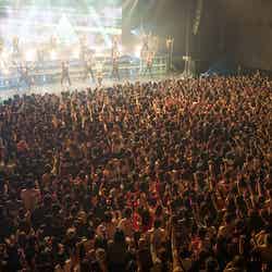 浜崎あゆみ「TA LIMITED LIVE TOUR 2016」のファイナル公演の模様