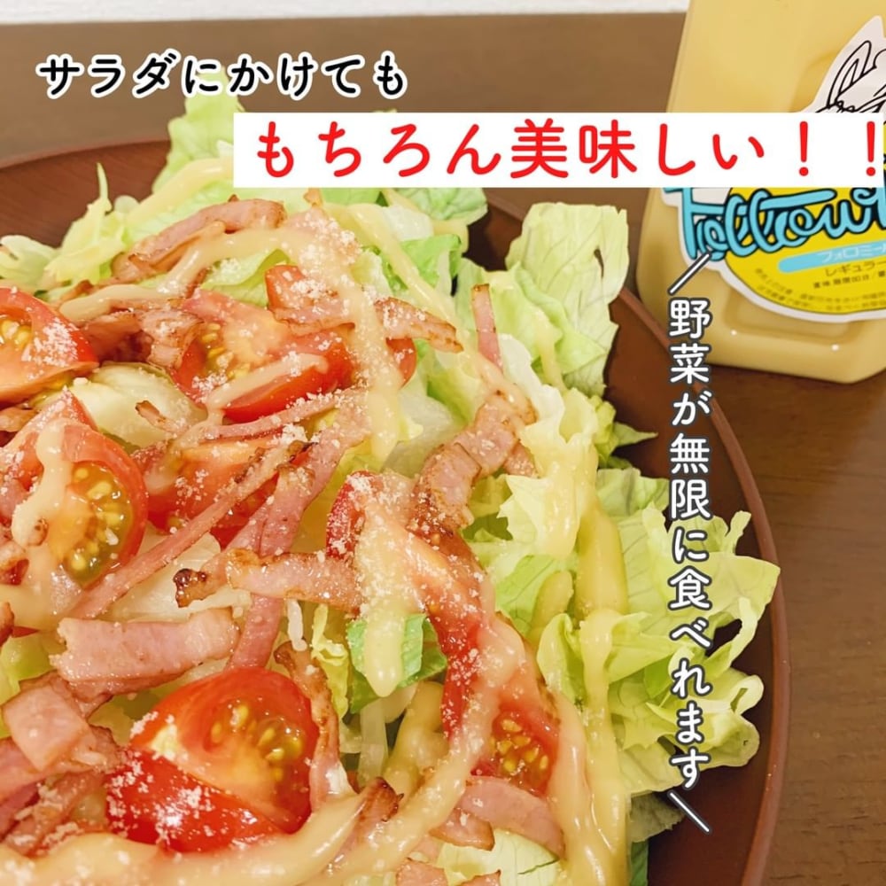 フォロミールレギュラーサラダ