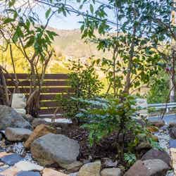 Surf Republic湯河原万葉公園 IZUMI Forest ソロ・グランピング/提供画像