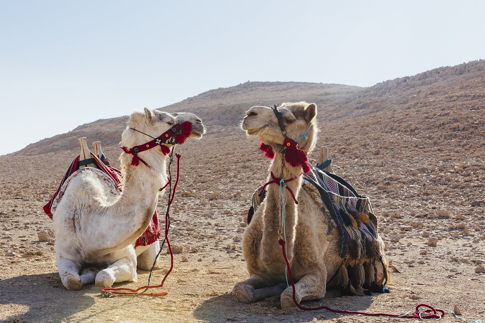 シックスセンシズ シャハルート／画像提供：Six Senses