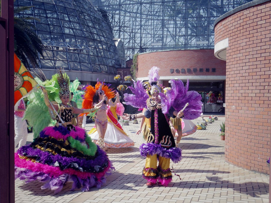 夢の島熱帯植物館