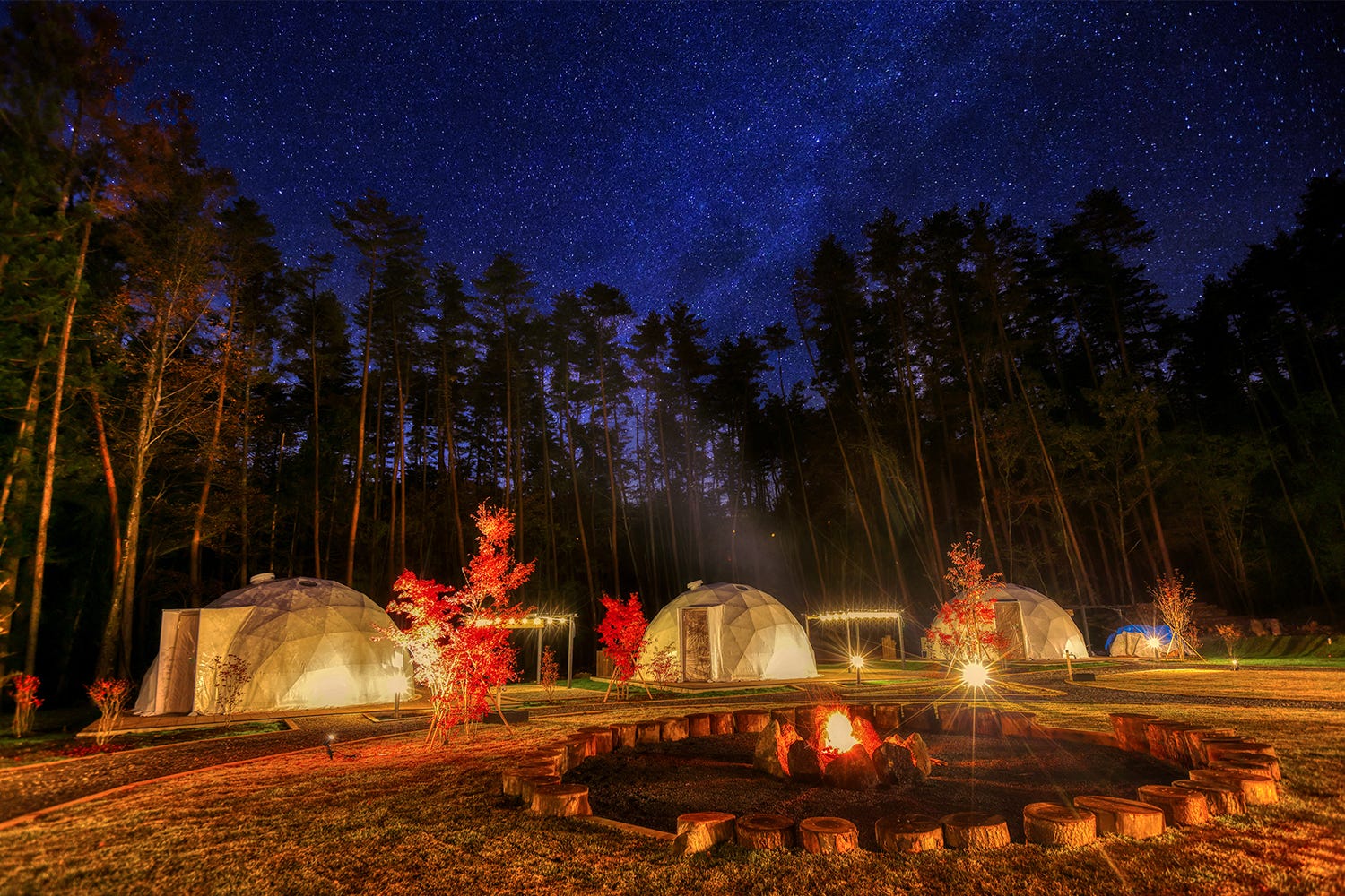 山梨の“星降る森”でグランピング「ホシフルドームフジ」満天の星空を見上げBBQ&焚き火体験