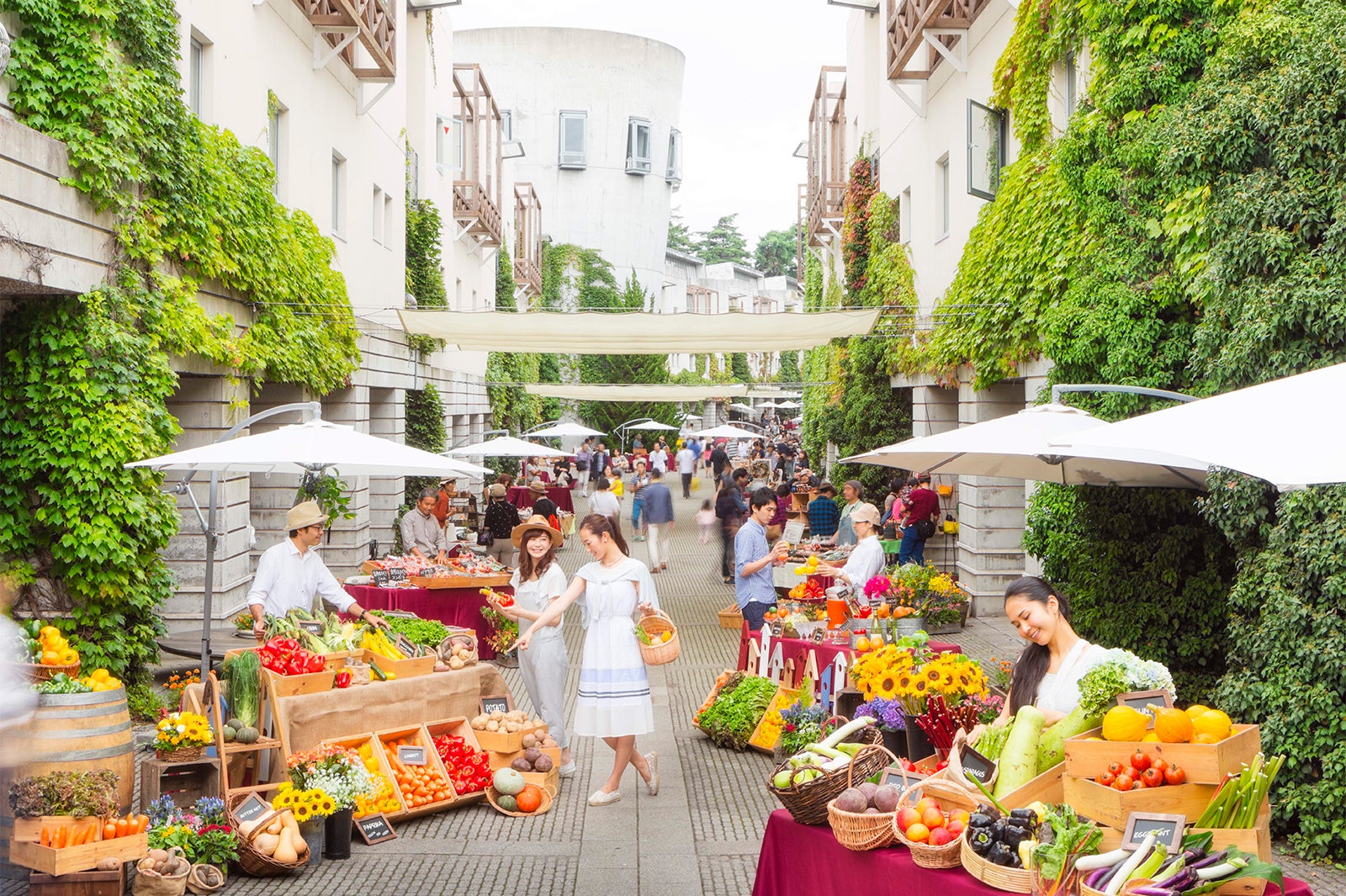 春の思い出は星野リゾートで作ろう♡／画像提供：星野リゾート