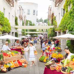春の思い出は星野リゾートで作ろう♡/画像提供:星野リゾート