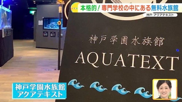 【兵庫】大人も子どもも無料で楽しめる！学校内にある「穴場の水族館」