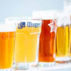 ヒビヤガーデン/画像提供:ヒビヤガーデン実行委員会