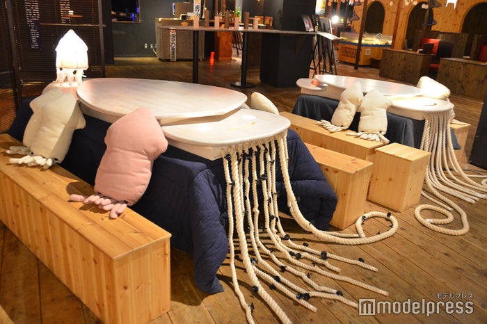 親子イカこたつ(C)モデルプレス