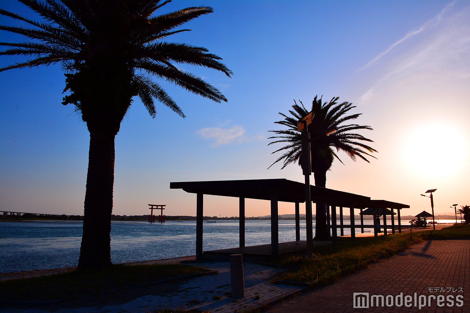 サンセットタイムのヤシの木のシルエットがリゾート感たっぷり（C）モデルプレス