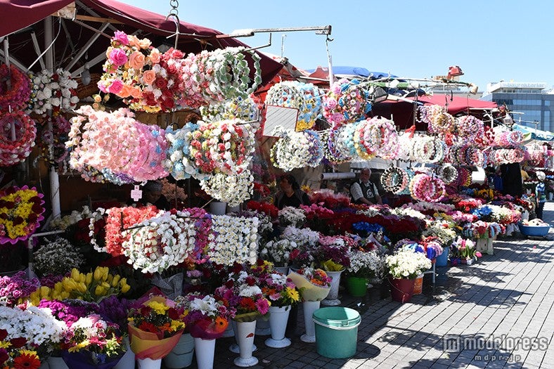 種類豊富な花冠