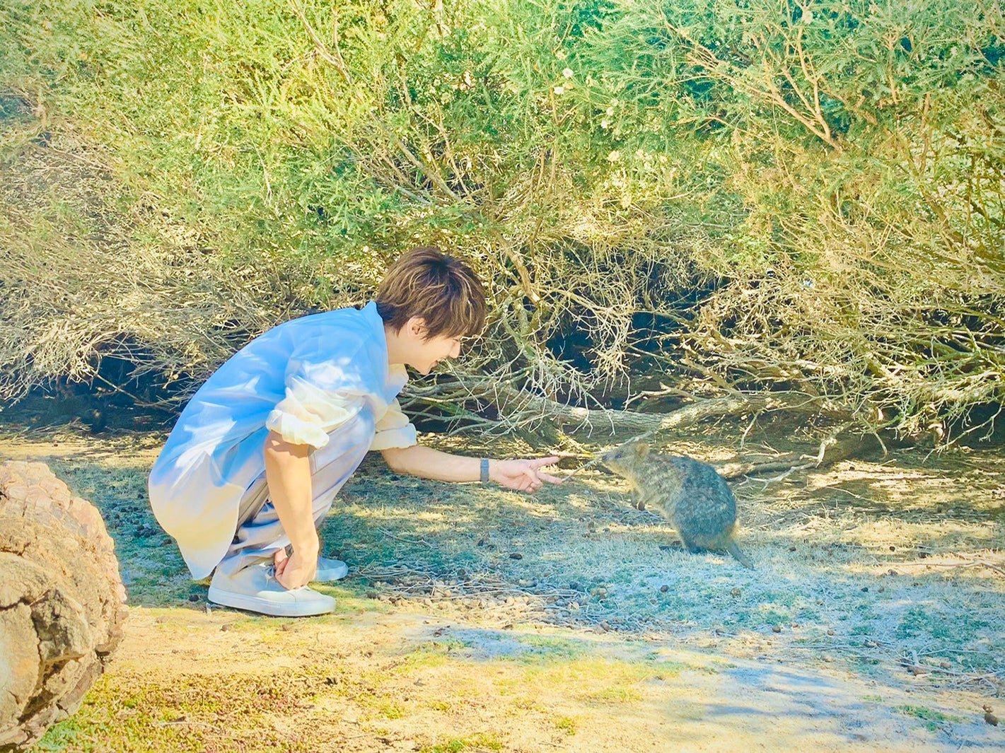 AAA西島隆弘、オーストラリア森林火災に10万ドル寄付