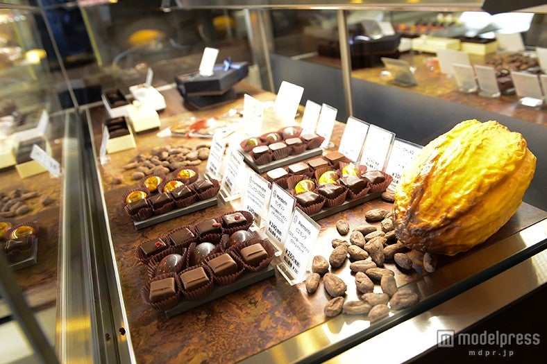 「PATISSERIE OFUKU」