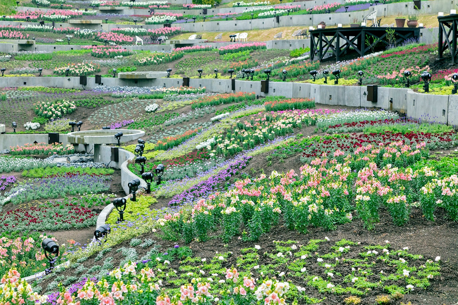 フローラ／画像提供：ネスタリゾート神戸