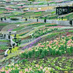 フローラ/画像提供:ネスタリゾート神戸