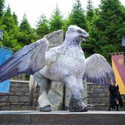 ヒッポグリフ・マジカル・レッスン/画像提供:ユニバーサル・スタジオ・ジャパン