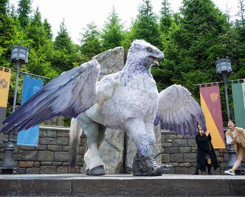 USJ“ハリポタ”エリアが10周年!ヒッポグリフやニフラーと触れ合える魔法体験が再登場