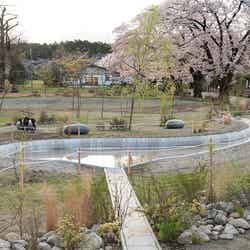 那須千本松牧場/提供画像