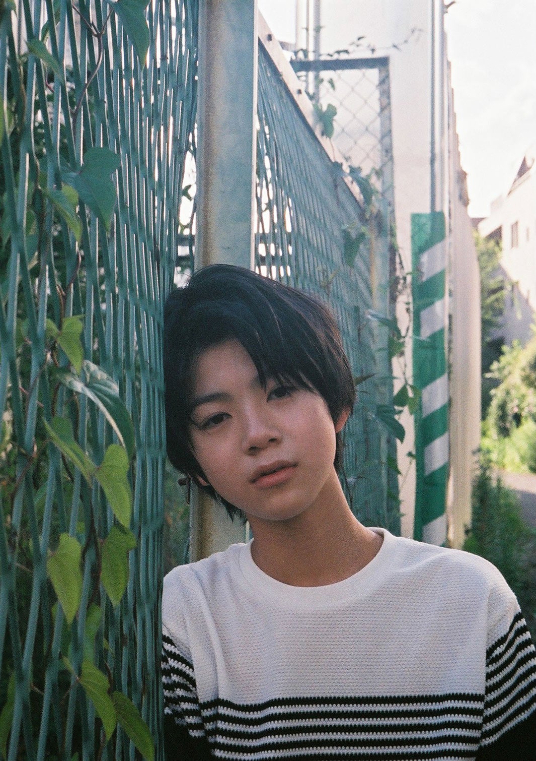 白鳥晴都（C）上野留加