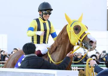 22年菊花賞＆有馬記念2着のボルドグフーシュが右前肢の屈腱炎で現役を引退