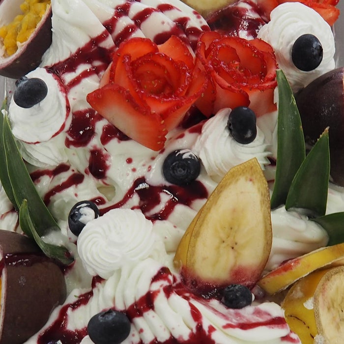 南国の夏休み（提供写真）