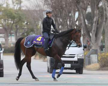 【高松宮記念】サトノレーヴ 昨年Vの5枠黄色帽 堀師「最大限のパフォーマンスを出せるように」