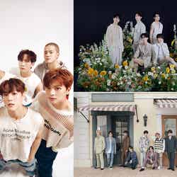 (左から時計回りに)BTOB、PENTAGON、BUDDiiS/提供画像/提供画像