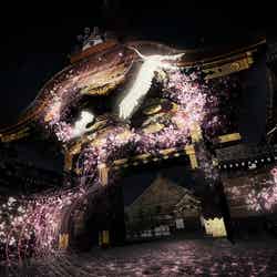 京都・二条城が桜に彩られる！プロジェクションマッピングで新感覚お花見体験 ／画像提供：株式会社ネイキッド