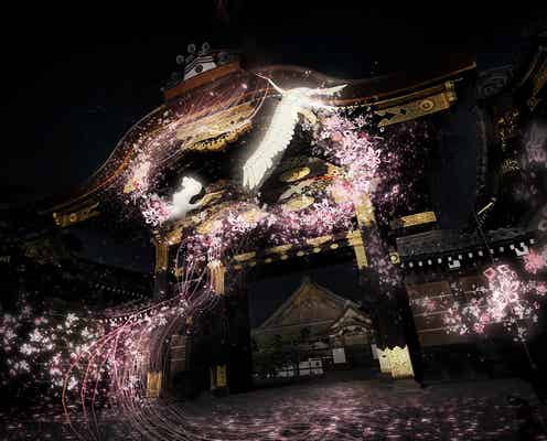 京都・二条城が桜に彩られる!プロジェクションマッピングで新感覚お花見体験