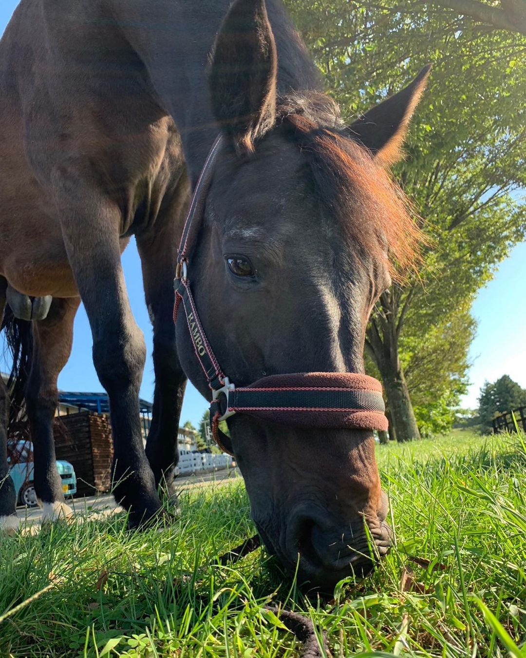 紗栄子公式Instagramより