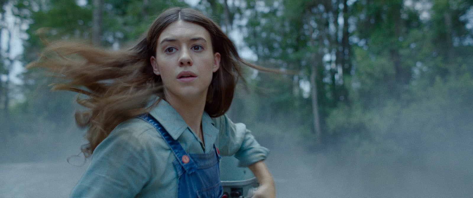 「ザリガニの鳴くところ」（C）NETFLIX, INC. AND IT'S AFFILIATES, 2024. ALL RIGHTS RESERVED.