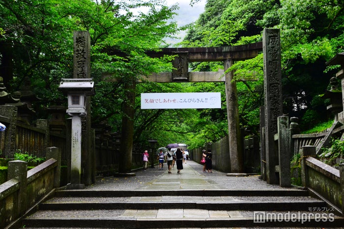 表参道を彩る緑のトンネル(C)モデルプレス