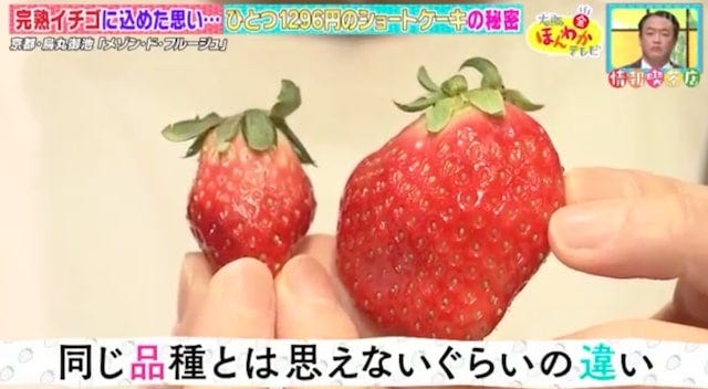 オープン前から大行列！超高価格でも1度は食べてみたい「ショートケーキ」