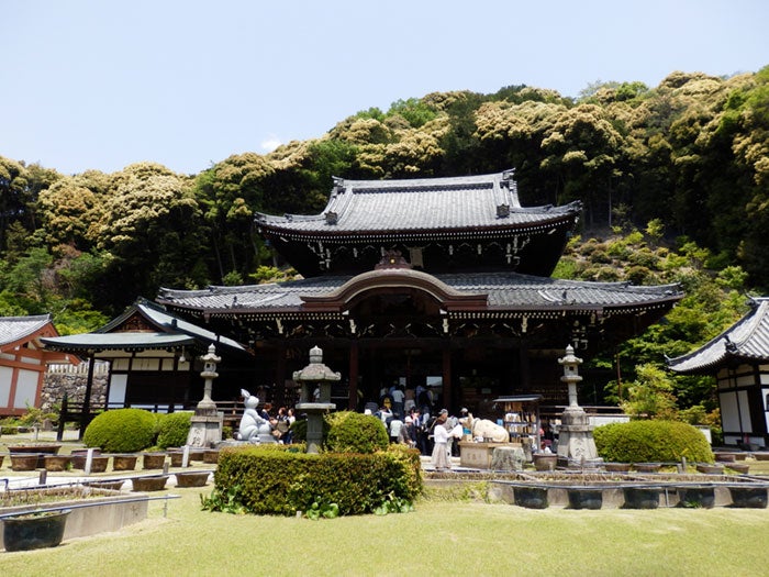 三室戸寺／Mimuroto-ji Temple by izunavi