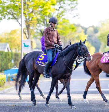 【皐月賞】アルトラムス 父子制覇へ万全 懸念残るも奥村助手は期待「距離も小回りも問題ない」