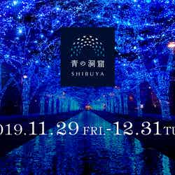 青の洞窟 SHIBUYA/画像提供:『青の洞窟 SHIBUYA』実行委員会