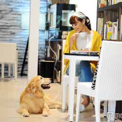 ライブラリーカフェ&バー「オーバージョイド」/画像提供:ユニマットプレシャス