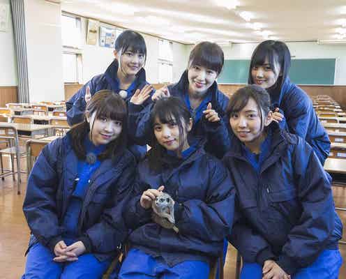 乃木坂46、動物専門学校で現役ティーンの“リアル”を体感 アシカショーにも挑戦